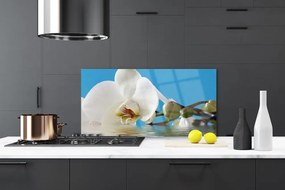 Szkło do Kuchni na Ścianę Botaniczny Portret Kwiatu