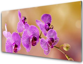 Panel Szklany do Kuchni Aromatyczny Rozkwit Storczyka