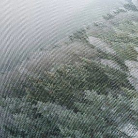 Obraz - Ośnieżone szczyty lasów (170x50 cm)