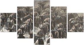 Obraz - Stado antylop gnu (125x70 cm)