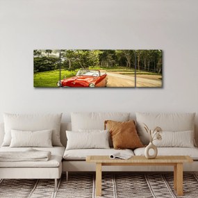 Obraz - zabytkowy samochód w przyrodzie (170x50 cm)