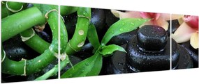 Obraz - Kamienie i orchidee (170x50 cm)
