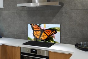 Panel nad Blat Kuchenny Portret Kolorowego Motyla