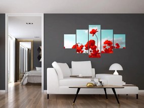 Obraz pola z jasnoczerwonymi kwiatami (125x70 cm)