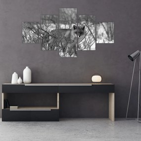 Obraz - Lis w zimie (125x70 cm)