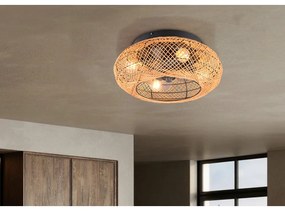 Brązowa lampa sufitowa ze zdalnym sterowaniem/z wentylatorem Lillesand – Trio