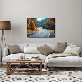 Obraz - Kręta droga (70x50 cm)