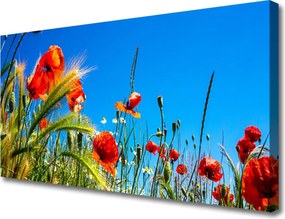 Obraz canvas Polna Łąka Pełna Maków