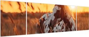 Obraz - Koń o zachodzie słońca (170x50 cm)
