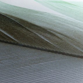 Obraz - Pióra, makro (170x50 cm)