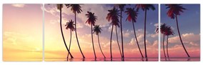 Obraz palm wznoszących się nad powierzchnią (170x50 cm)