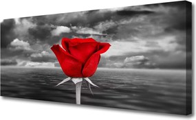 Obraz na płótnie Dzika Róża nad Brzegiem Morza