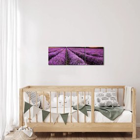 Obraz - Pole lawendy o zachodzie słońca (z zegarem) (90x30 cm)