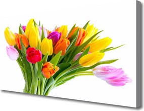 Obraz drukowany na płótnie Kolorowe Pole Tulipanów