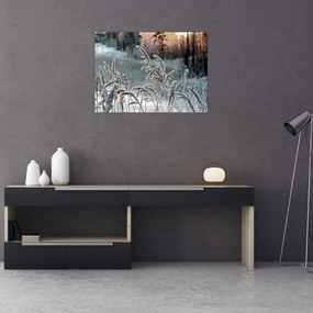Obraz na szkle - Frozen Meadow (70x50 cm)