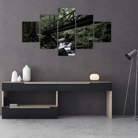 Obraz z czarnego lasu (125x70 cm)
