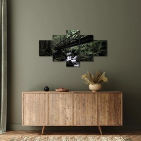 Obraz z czarnego lasu (125x70 cm)