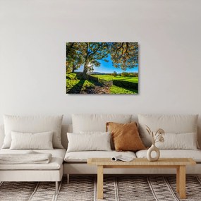 Obraz na szkle - widok pola (70x50 cm)