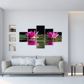 Obraz lilii wodnych na wodzie (125x70 cm)
