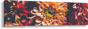 Obraz - Chryzantemy (170x50 cm)
