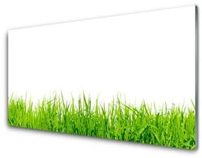 Panel Kuchenny Trawa Natura Roślina