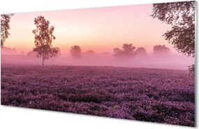 Szklany Panel Koloryt Wrzosowiska