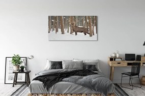 Duży obraz na płótnie Zimowy Las i Jeleń