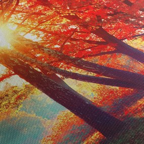 Obraz- Jesienny krajobraz (170x50 cm)