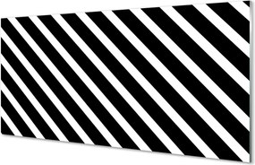 Panel Szklany Klasyczny Wzór Zebry