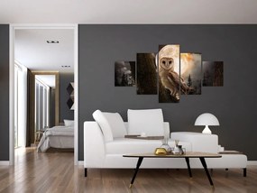 Obraz sowy palonej (125x70 cm)