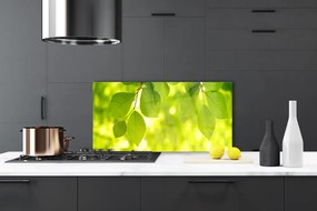 Panel Kuchenny Zielone Liście W Stylu Modern