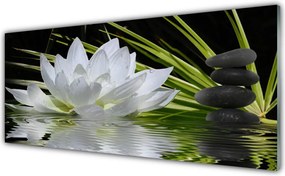 Panel Szklany do Kuchni Harmonijne Lilie na Stawie