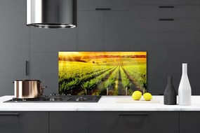 Szkło do Kuchni na Ścianę Złociste Pole o Poranku