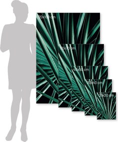 Plakat Dark Palm Tree