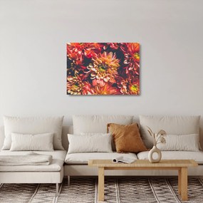 Obraz na szkle - Chryzantemy (70x50 cm)