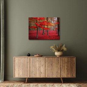 Obraz - Czerwony Las (70x50 cm)