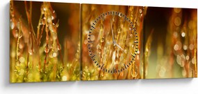 Obraz - Szczegół rosy (z zegarem) (90x30 cm)