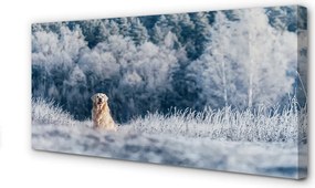Obraz na płótnie Pies w Górach Zimą