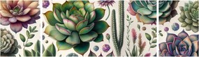 Obraz - Sukulenty (170x50 cm)