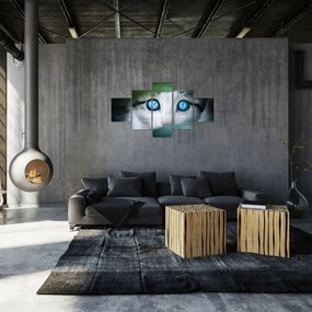 Obraz kota (125x70 cm)