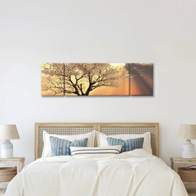 Obraz drzewa na łące (170x50 cm)
