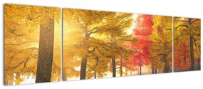 Obraz jesiennych drzew (170x50 cm)