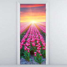 Fototapeta na drzwi - Pole tulipanów ze słońcem (95x205cm)