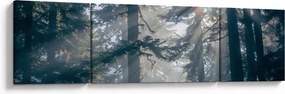Obraz drzew, przez które prześwieca słońce (170x50 cm)