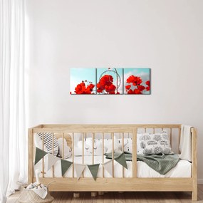 Obraz pola z jasnoczerwonymi kwiatami (z zegarem) (90x30 cm)