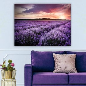 Obraz 100x70 cm Lavender Field – Wallity