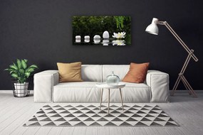 Zdjęcie na płótnie Lilia Wodna na Jeziorze