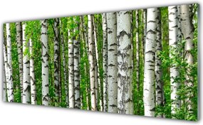 Panel Szklany Dziki Bór Sosnowy