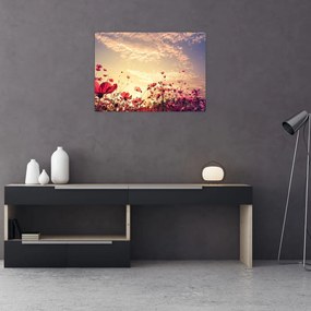 Obraz na szkle - Łąka z kwiatami (70x50 cm)