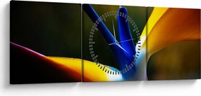 Obraz - Egzotyczny kwiat (z zegarem) (90x30 cm)
